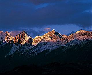 《怪物猎人：荒野》将在TGS上公布“绯红森林”实机演示